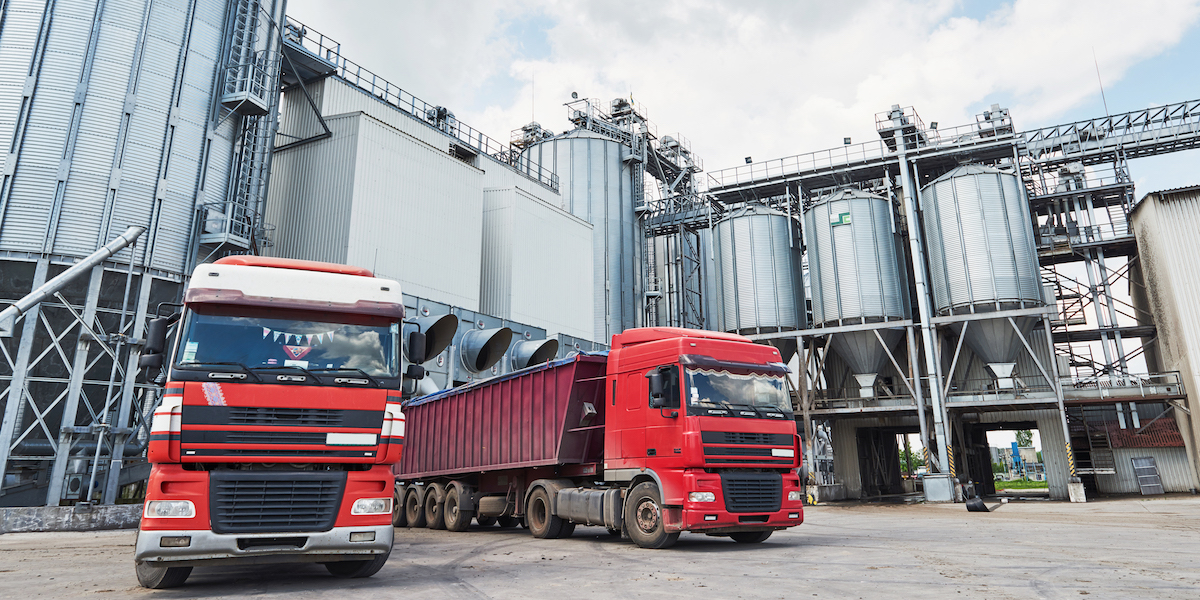 Exportación